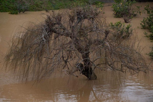 Las imágenes del temporal Gloria en España; ya son siete los muertos