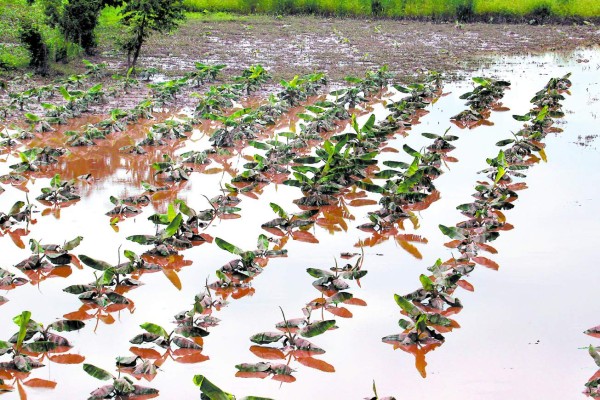 Honduras: 5 mil incomunicados por fuertes aguaceros e inundaciones
