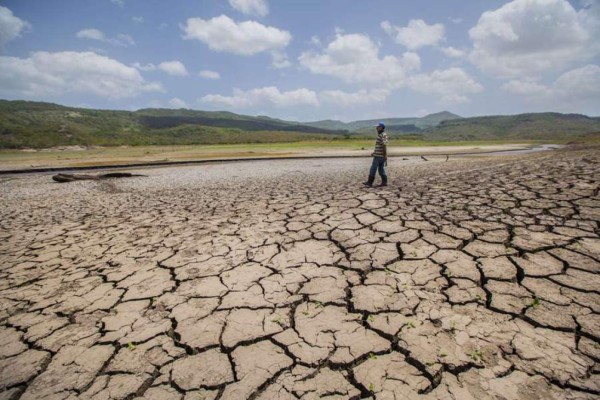 Ministros de Agricultura de Centroamérica evalúan impacto de sequía
