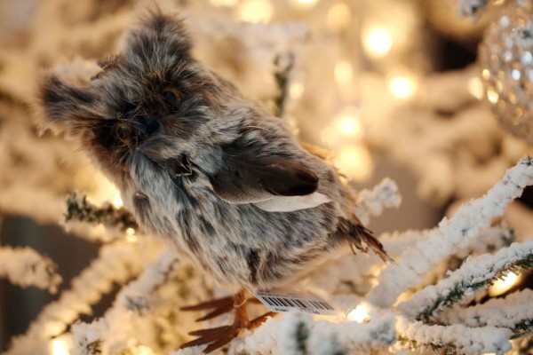 ¡Se escaparon los animales de Santa!