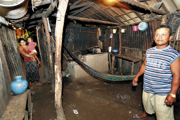 'Nadie me quiso comprar la gallina”