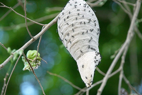 Las Fotos de la Semana en ElHeraldo.hn