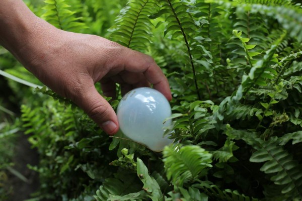 Que no lo agarren en 'stand by”...