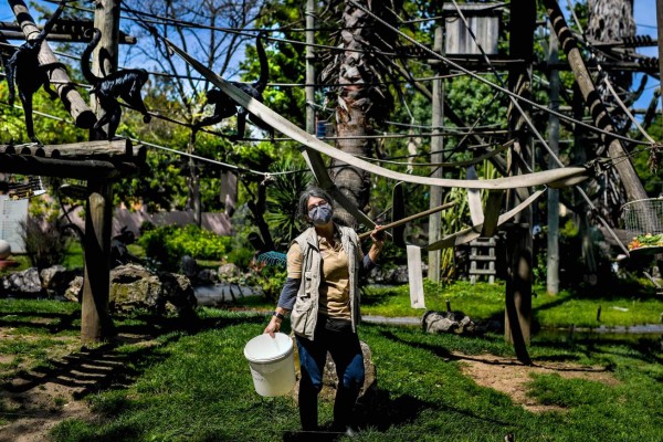 El mundo celebra confinado y en recesión un Primero de Mayo inédito (FOTOS)