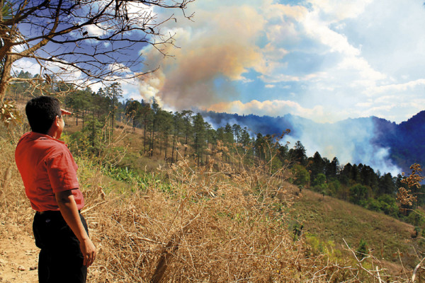 Bosques del centro, sur y oriente amenazados por las llamas