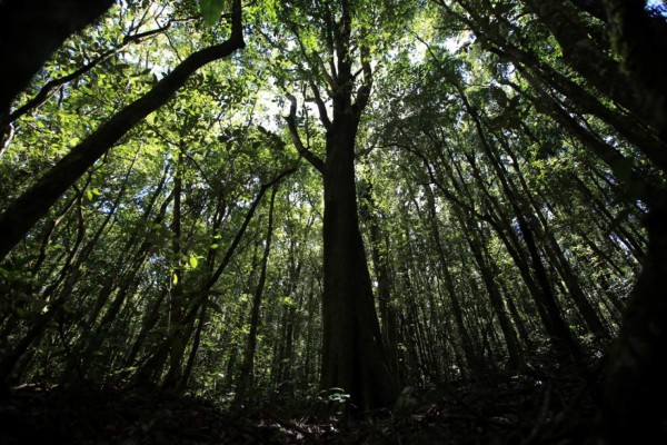 La ruta Cerro de Plata, la unión de El Picacho, El Piligüín y La Tigra