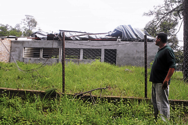 Potentes vientos derriban árboles y techos en Potrerillos