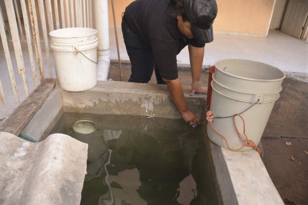 Refuerzan medidas contra dengue y chikungunya