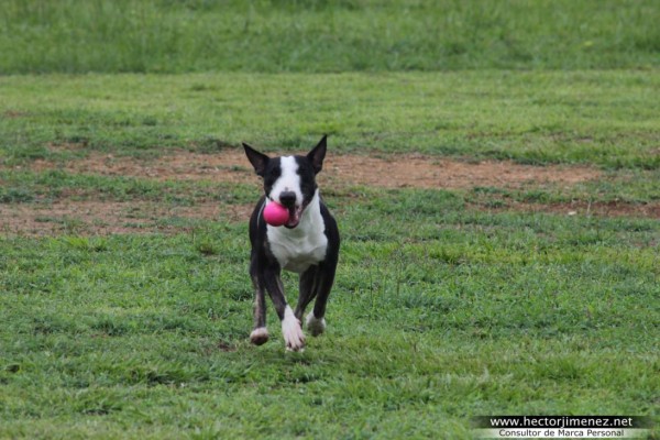 Ríete un rato con los mejores chistes de la semana