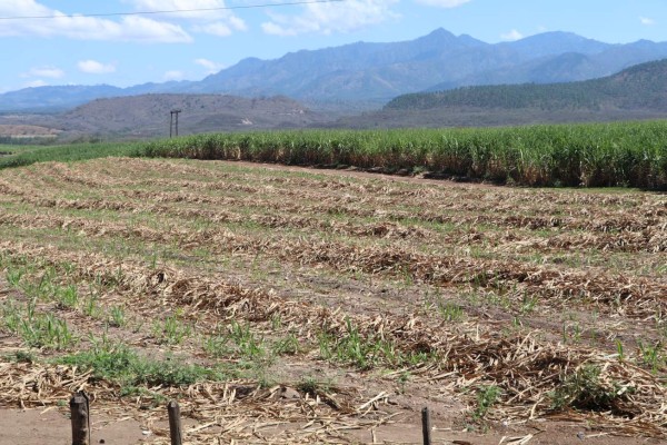 Tierra Adentro: Cantarranas, una mágica cita con las tradiciones de Honduras
