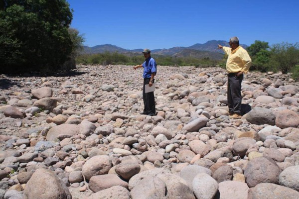 Alerta roja por sequía en municipios del sur de El Paraíso
