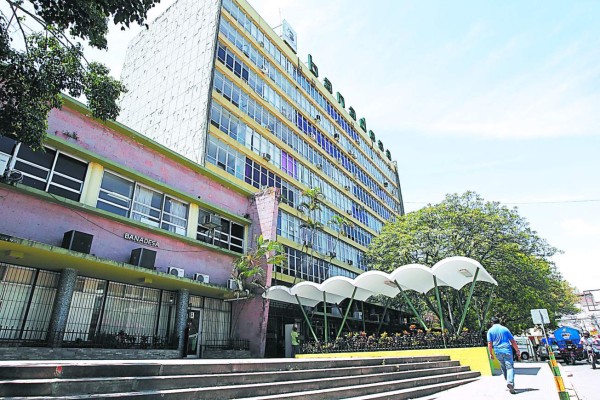 Reforma permitirá socios privados en Banadesa