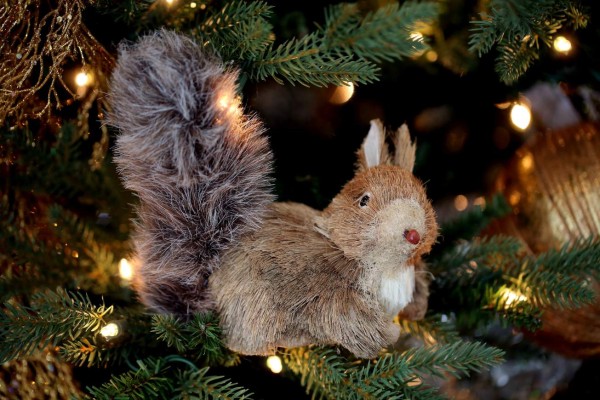 ¡Se escaparon los animales de Santa!