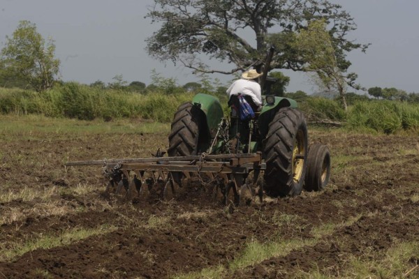 Productos agrícolas del sur llegan a los mercados europeo y asiático