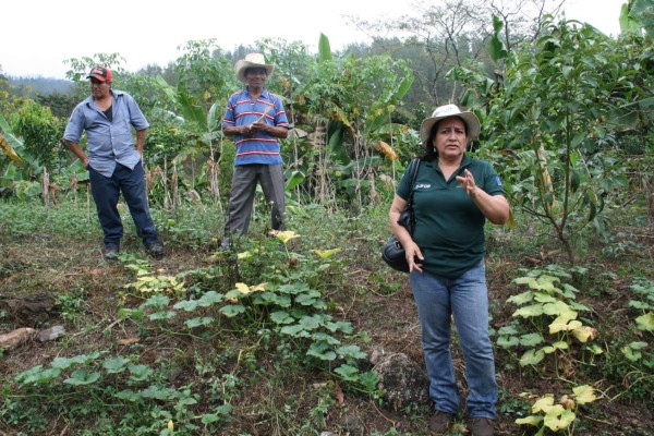 Diplomáticos alemanes conocen avances de programa CLIFOR en La Mosquitia hondureña&nbsp;&nbsp;