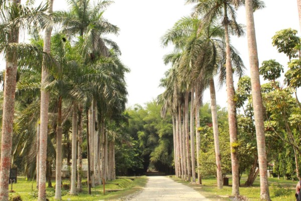 Un viaje por la Joya Verde del Caribe hondureño