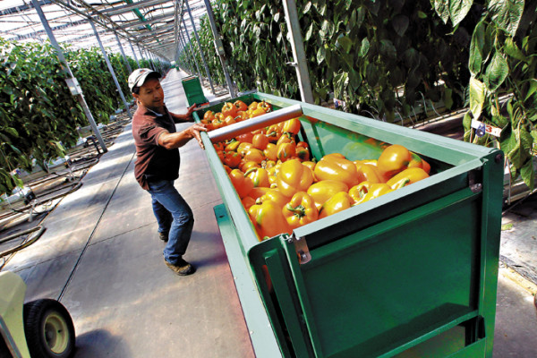 Parlamento canadiense endurece leyes migratorias