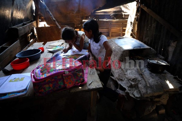 Venden leña, cuidan a sus hermanos o ayudan en casa: los niños que dejaron las escuelas por el covid