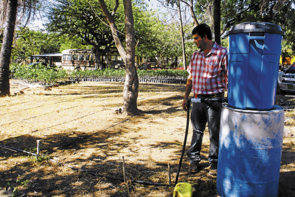 Implementan huertos familiares en la zona sur de Honduras