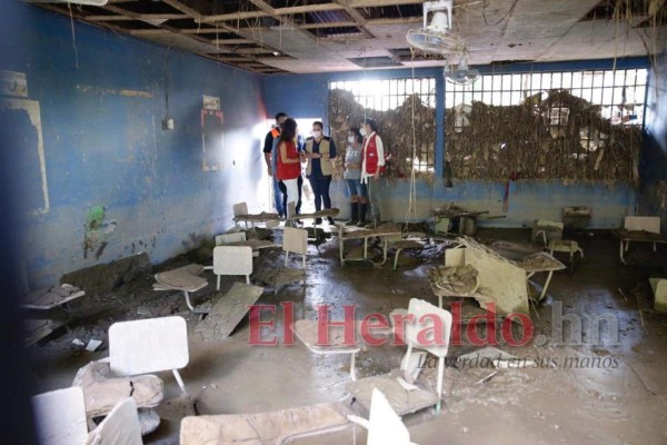 Reina Letizia visita zonas golpeadas por Eta y Iota con ayuda para afectados (FOTOS)