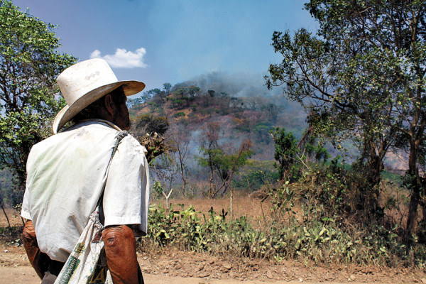Bosques del centro, sur y oriente amenazados por las llamas