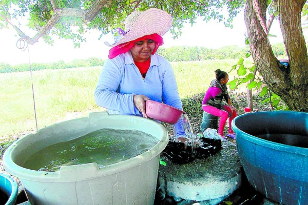 Pobreza extrema asfixia a 60 mil habitantes de cinco municipios