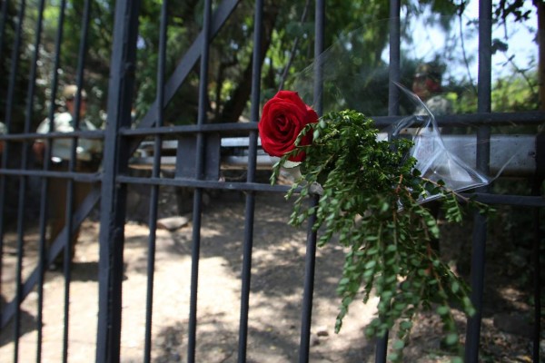 Sentida despedida para Nicanor Parra, el escritor que rompió esquemas con su poesía