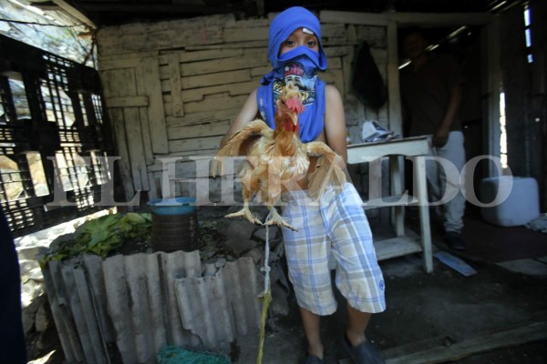 FOTOS: 11 momentos no vistos del triste desalojo en Las Torres