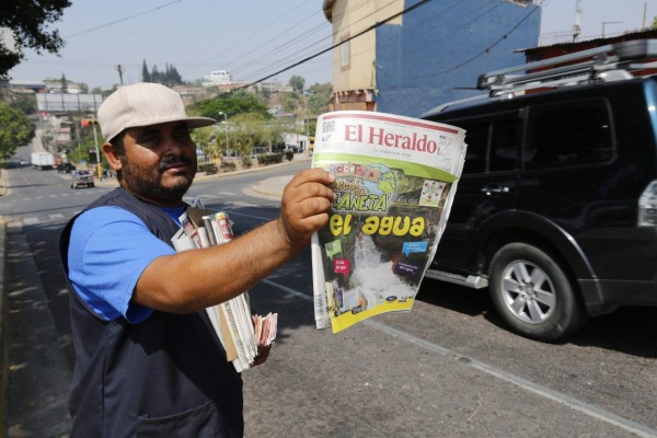 Un aporte a la educación son fascículos ambientales