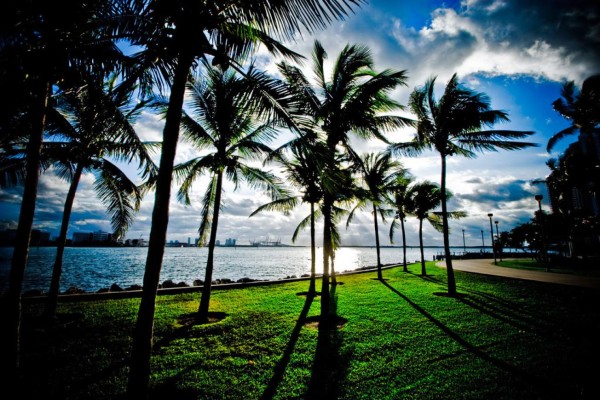 Desde Alcala de Henares en España