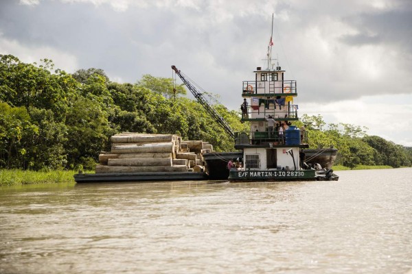 La selva Amazónica, el exhuberante pulmón del planeta