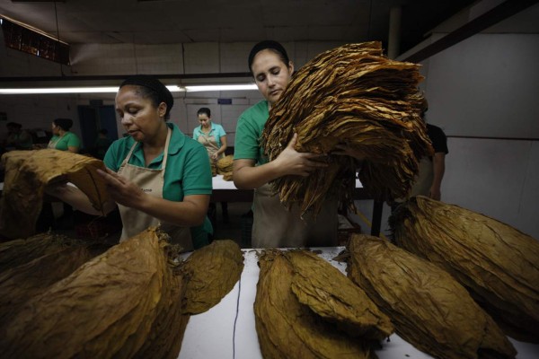 Los puros, un maridaje perfecto de humo y placer