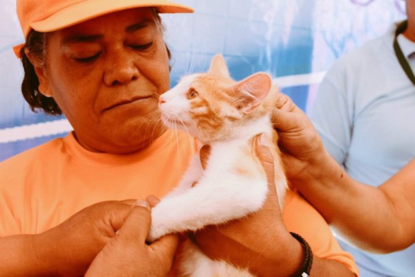 Así inició la jornada de vacunación de perros y gatos en Honduras