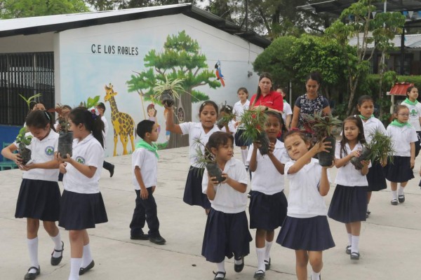 Escolares siembran esperanza con reforestación