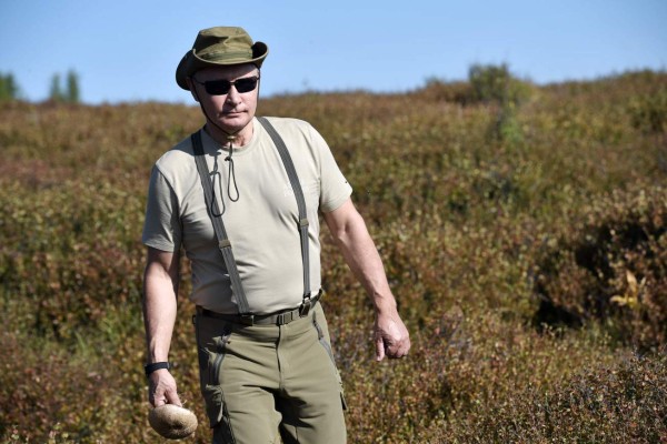 FOTOS: Las campestres vacaciones de Vladimir Putin en Siberia