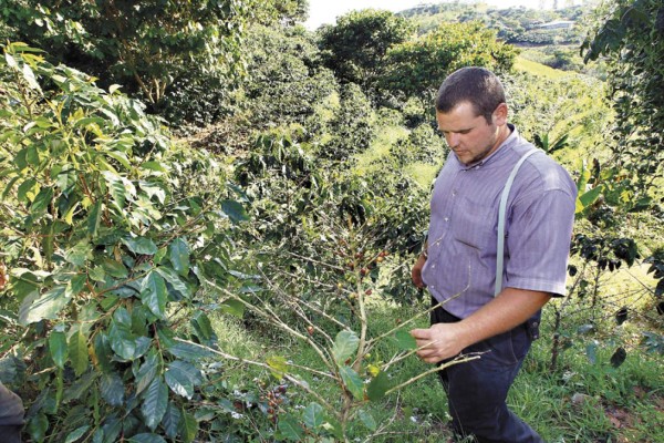Trabajo y servicio caracteriza a los menonitas