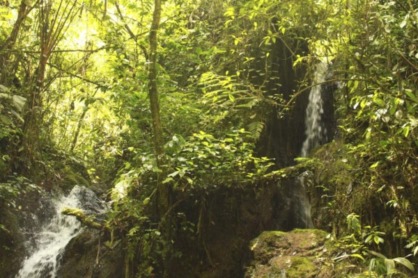 Olancho con nueva zona protegida