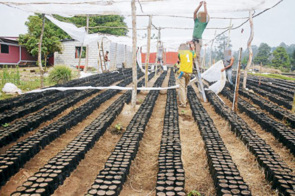 A los 12 años inician consumo de drogas en El Paraíso