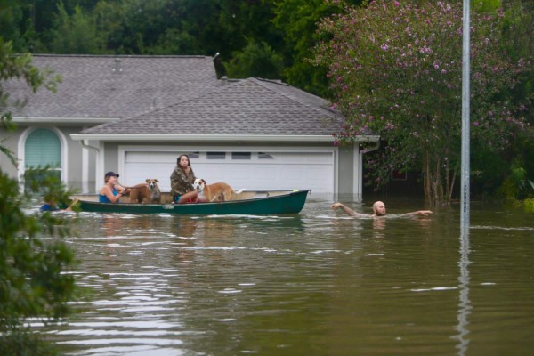 FOTOS: Impacto sin precedentes deja Harvey en Texas
