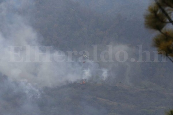 Por aire y tierra combaten el incendio en El Hatillo