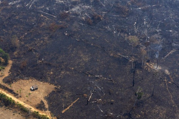 Las impactantes fotos de los desastres que deja el incendio en Amazonia