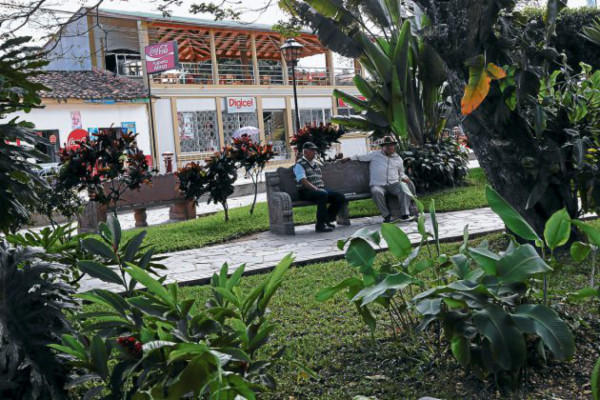 Campamento apuesta este año por el turismo y la caficultura