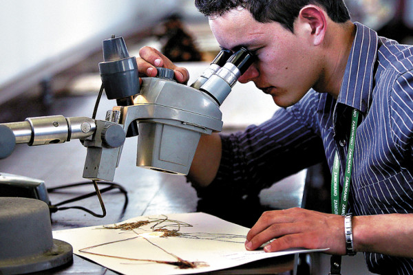 El herbario de Zamorano