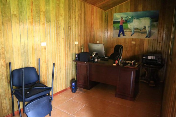 FOTOS: Los lujos del cartel de los Valle