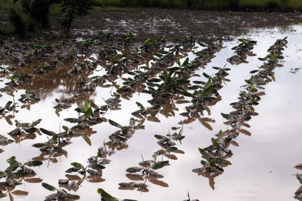 Honduras: Copeco extiende alertas por lluvias durante 48 horas más