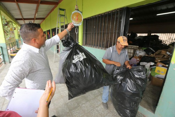 Reforestación y construcción de senderos logra la Escuela Víctor F. Ardón