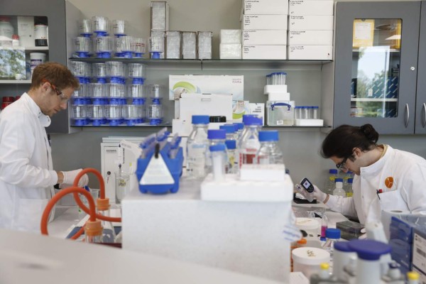 Lo que sabemos sobre la vacuna de Oxford, la más prometedora contra el covid-19