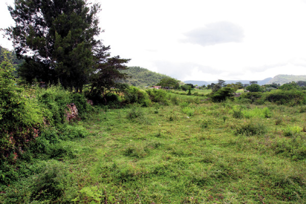 Listo Proyecto de 2,700 viviendas sociales