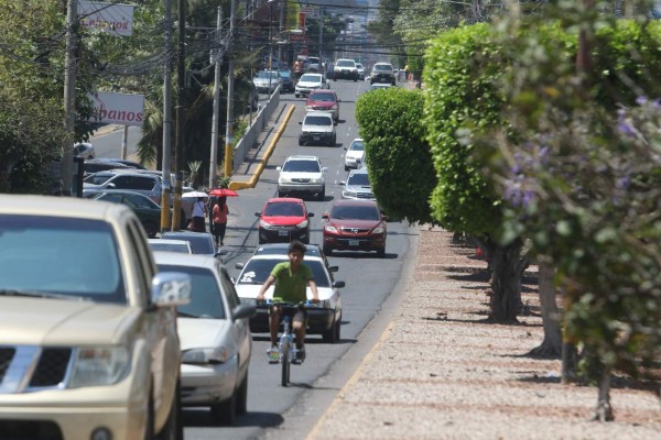 Alcaldía realiza estudio de ciclovías en tres tramos de la capital de Honduras