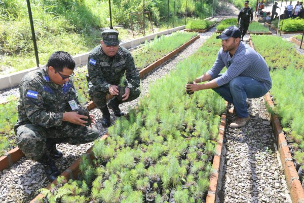 Nuevo vivero para recuperar bosque del Distrito Central